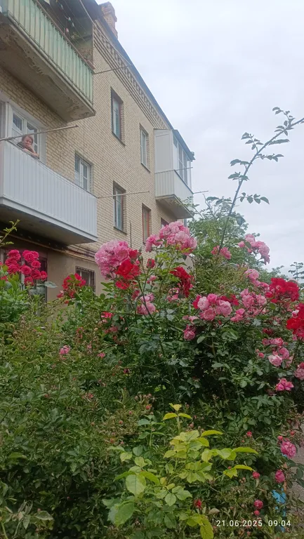 Уютная квартира в тихом районе недалеко от парка