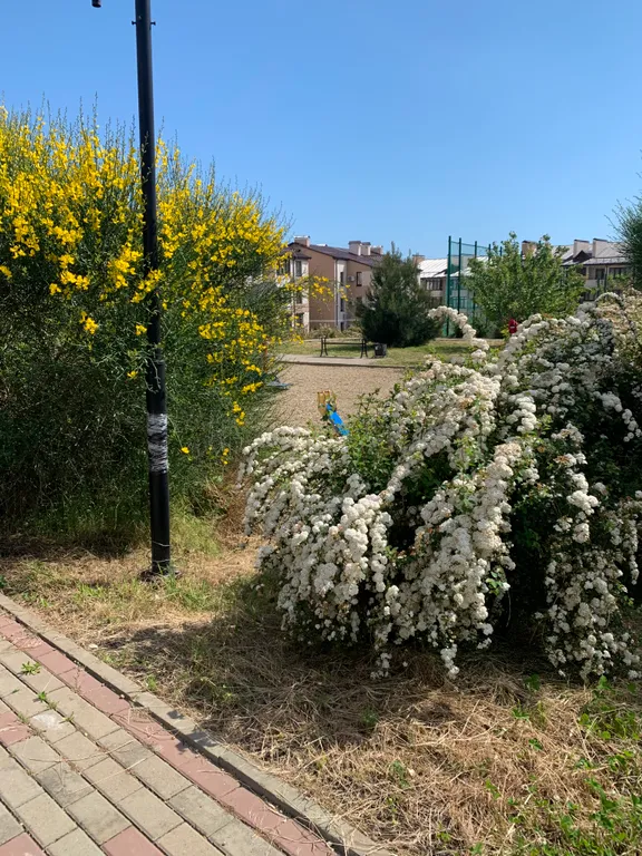 Уютная квартира у моря