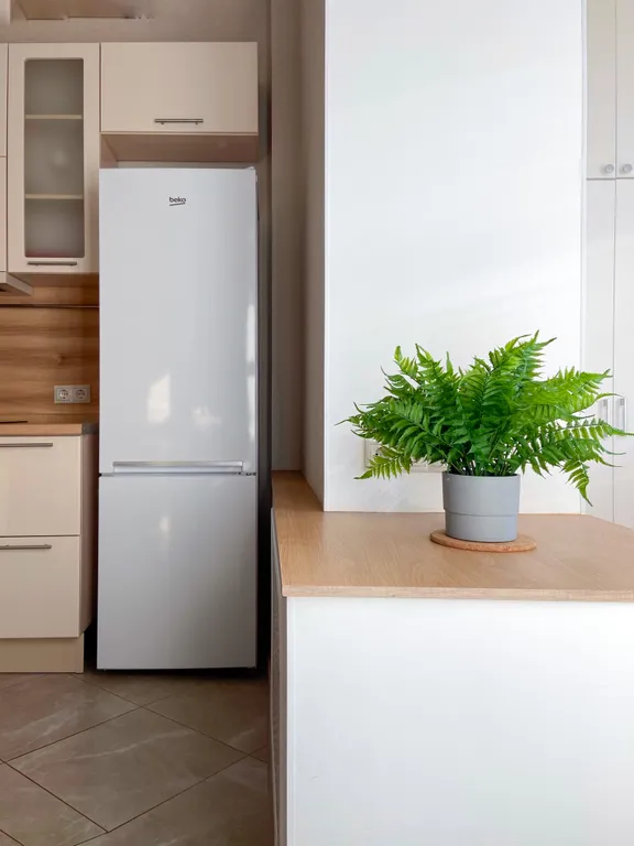 Fly Home аэропорт Шереметьево.