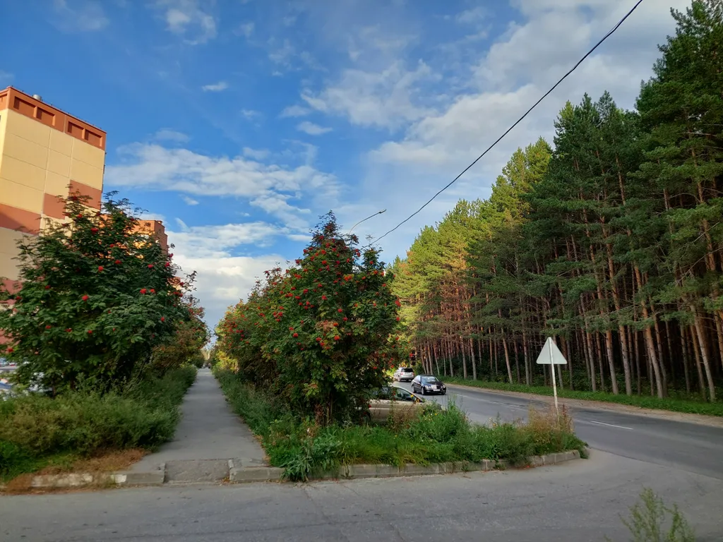 Квартира Квартира Двухкомнатная возле планетария и соснового бора — Новосибирск
