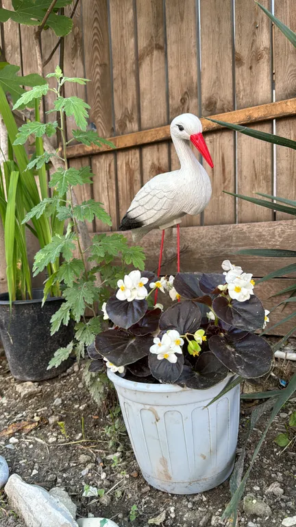 Квартира Комната — Геленджик