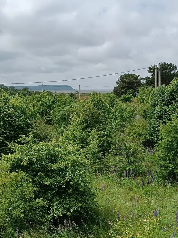 Резорт вилла