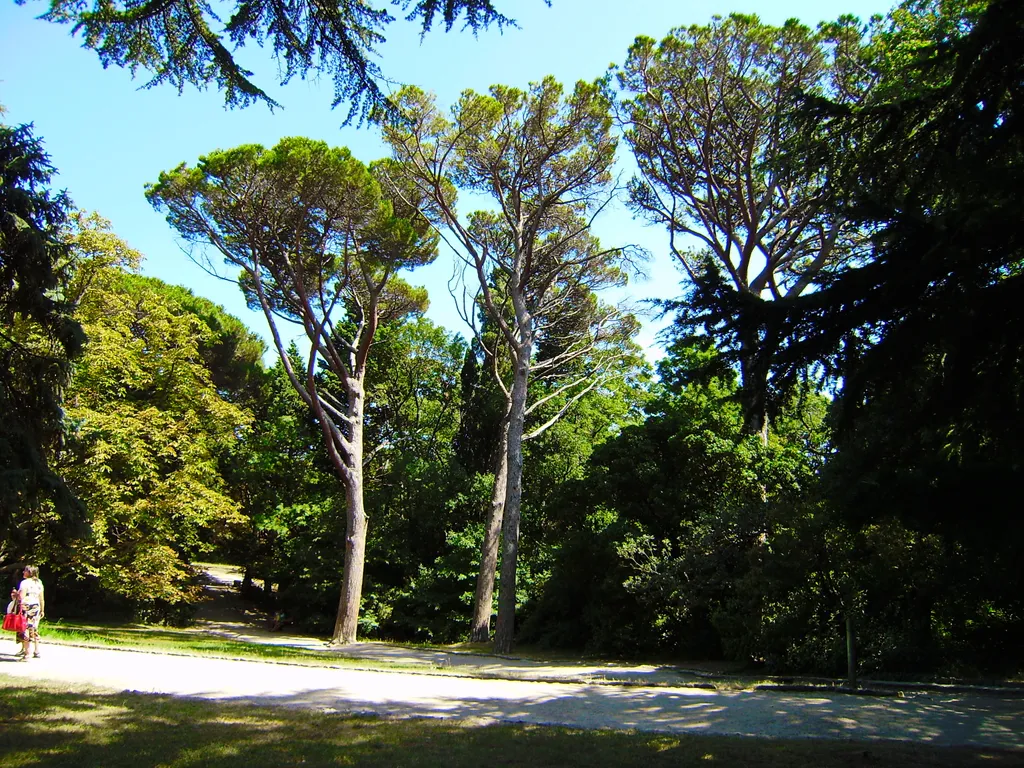 Апартаменты Ясень