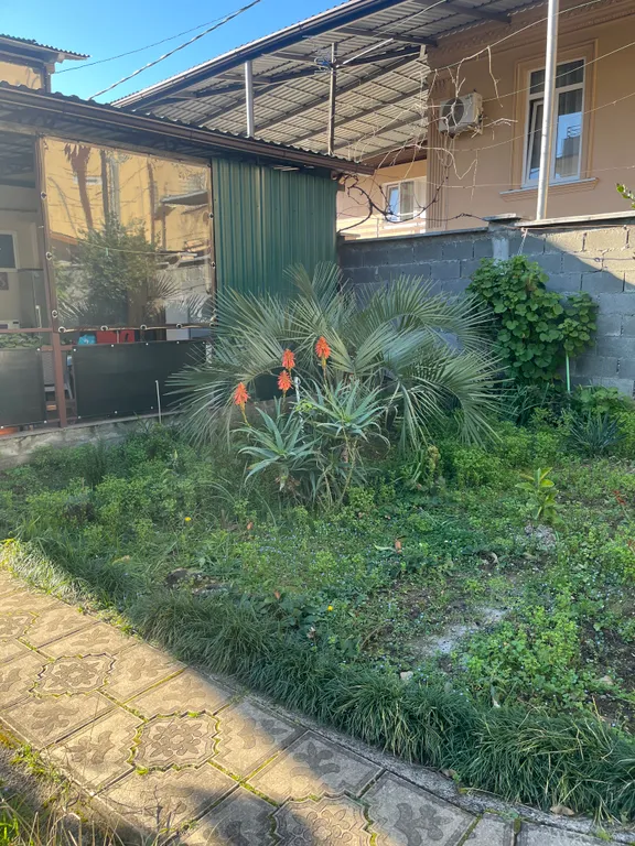 Квартира Комната — Гагра