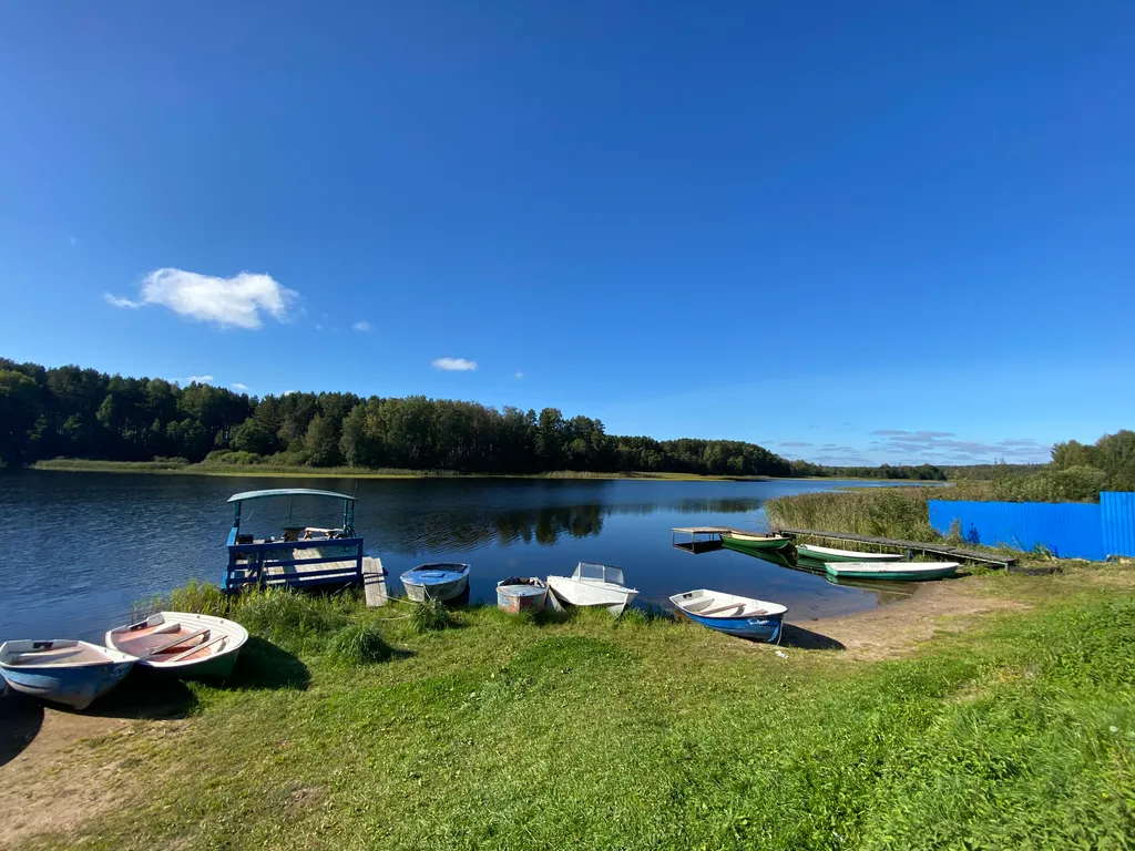 Большой дом для большой компании