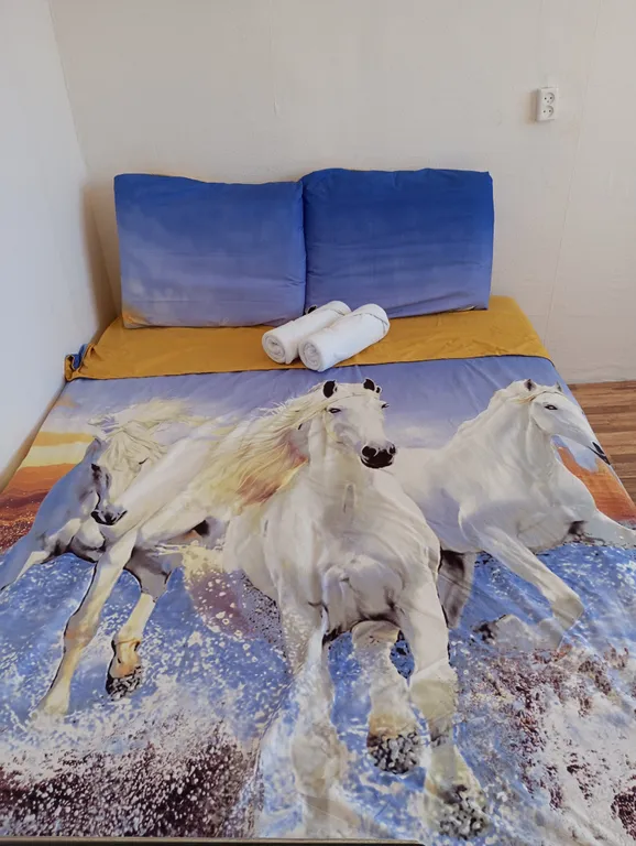 Квартира Комната в частном доме — аренда посуточно в Новороссийск