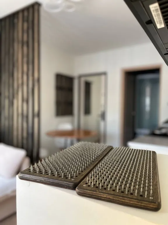 Студия чемпионов