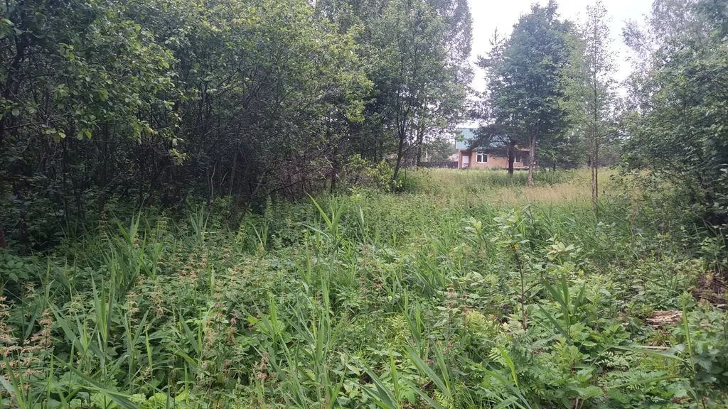 Дом на берегу протоки, ведущей в Вышневолоцкое водохранилище