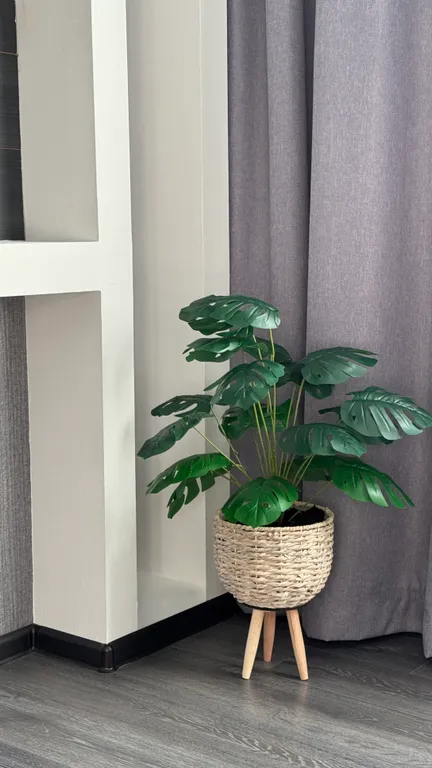 Как дома и даже лучше