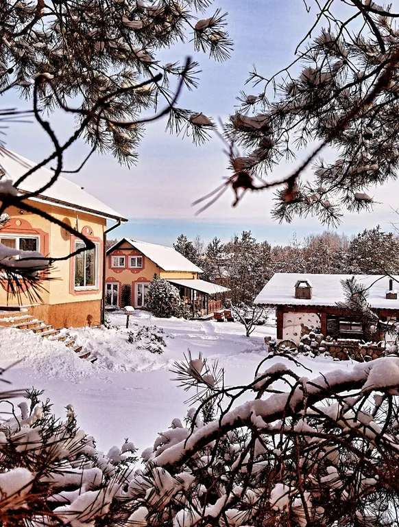 Коттедж под Минском с баней, озером, беседкой