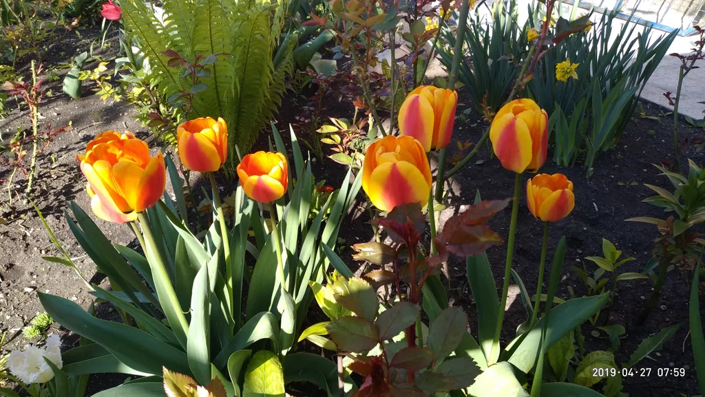 1-комнатная квартира в частном доме