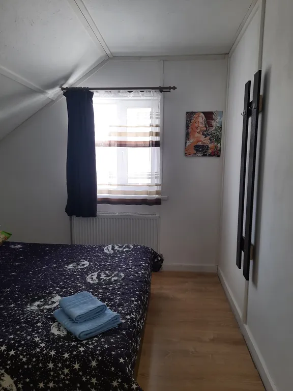 Коттедж Гостевой дом с баней в Сосново — Снегиревка