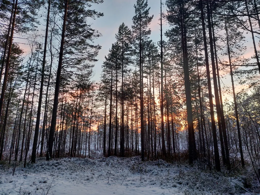 Коттедж Гостевой дом Karhu Casa рядом с Онежским озером — Деревянное