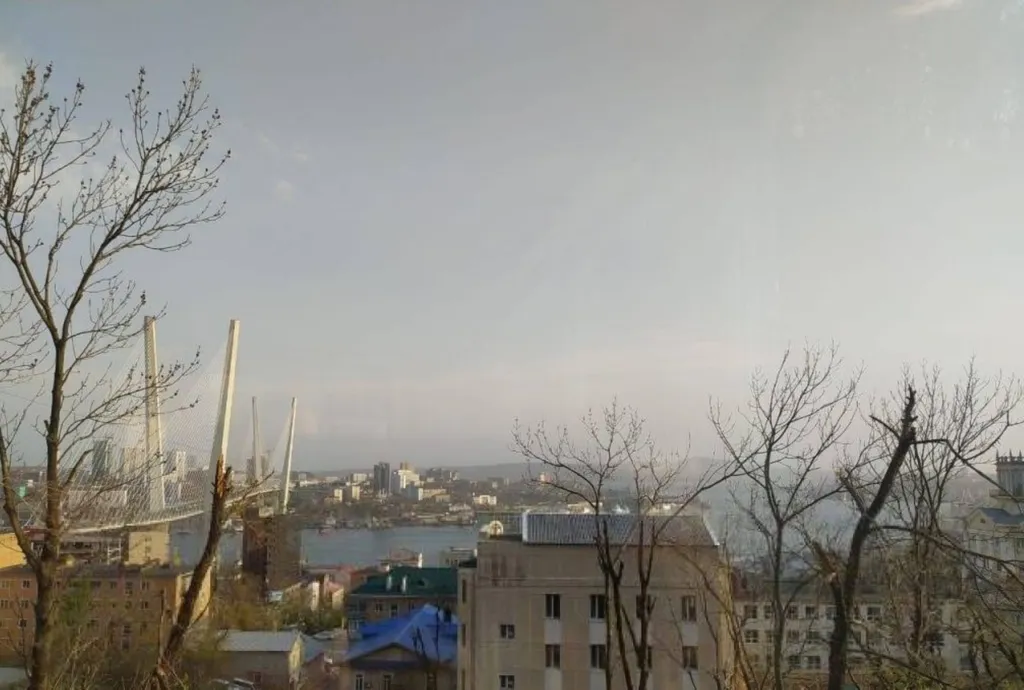 Квартира Уютная квартира — Владивосток