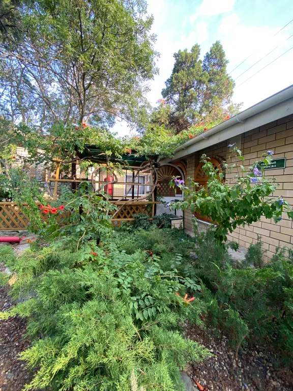 Отдых на берегу моря