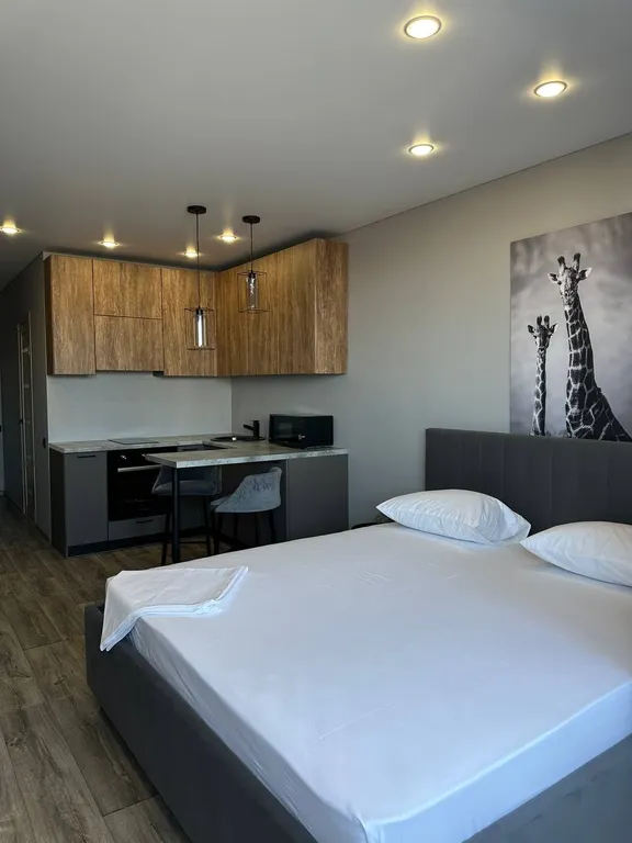 Уютная студия в центре города