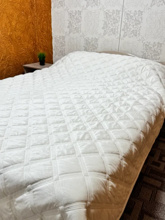 Омск, Кировский у ТЦ Мега