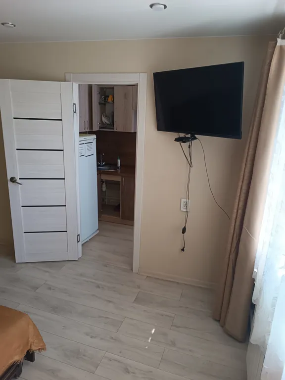 Квартира в парке имени Пушкина