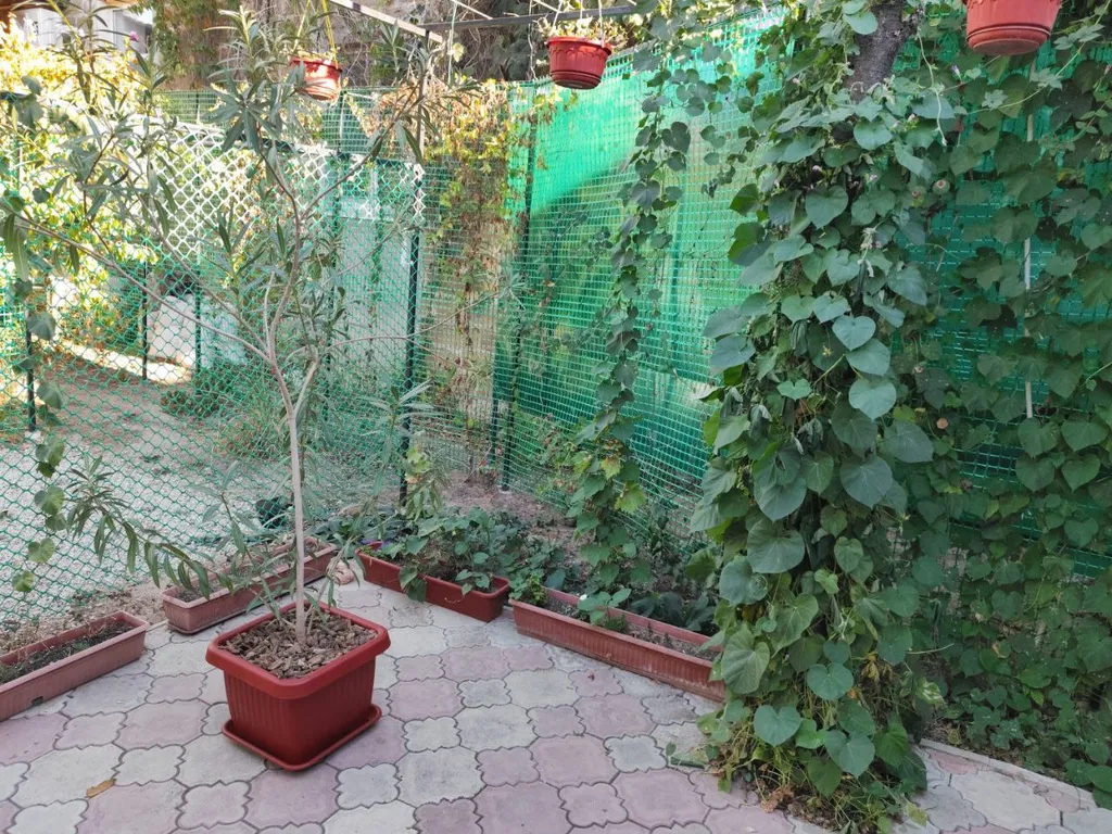 Уютный и комфортный домик возле Лазурной набережной