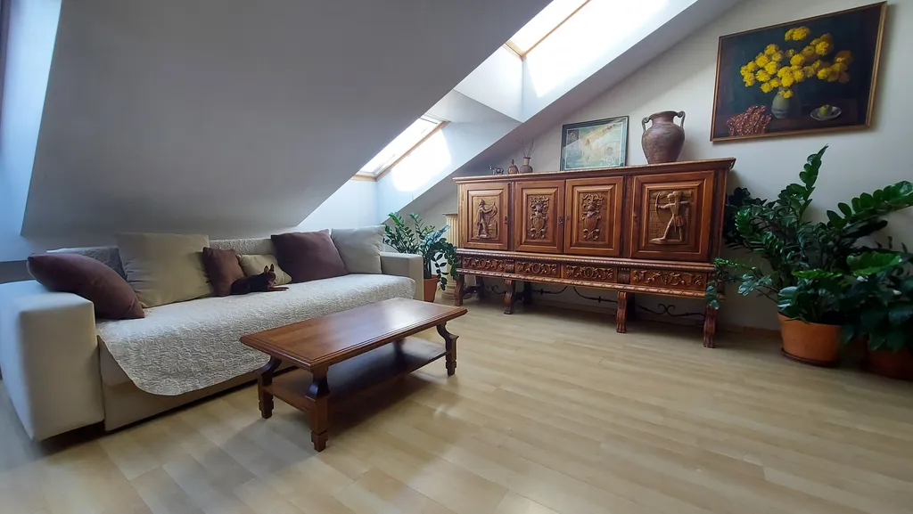 Большая мансарда у Эрмитажа