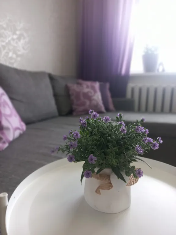 Апартаменты с видом на залив