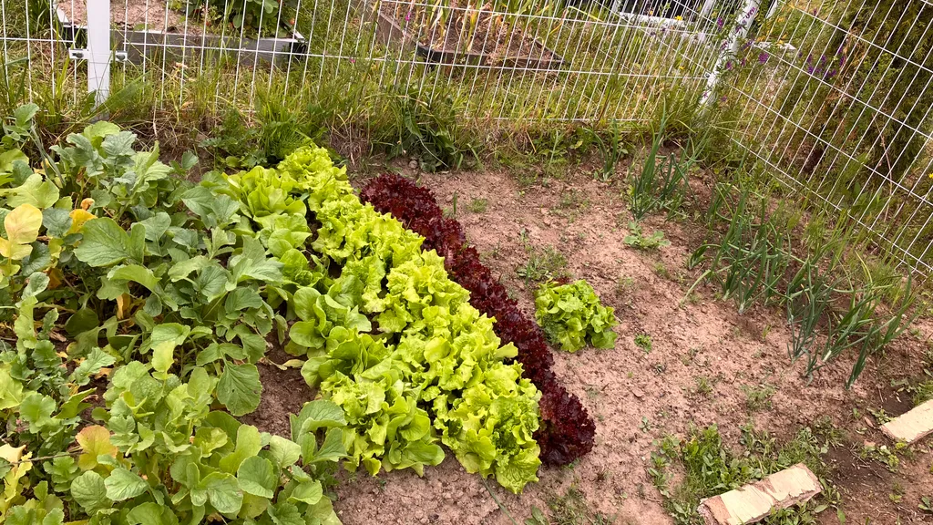 ЭкоДом - Жемчужина Балтики с Мини-Садом