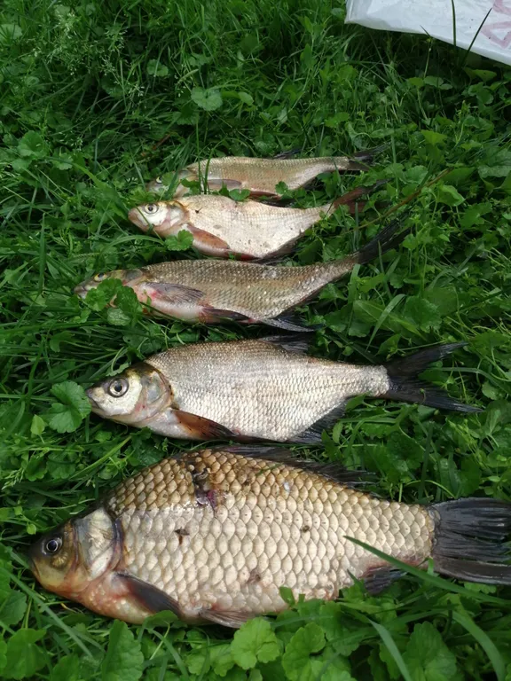 Уютные домики на берегу озера с баней на дровах