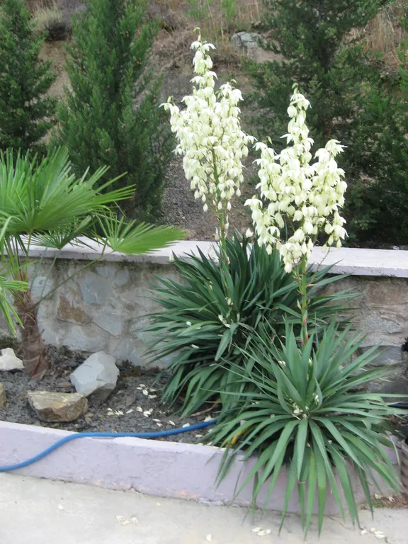 Квартира Комната — аренда посуточно в Алушта