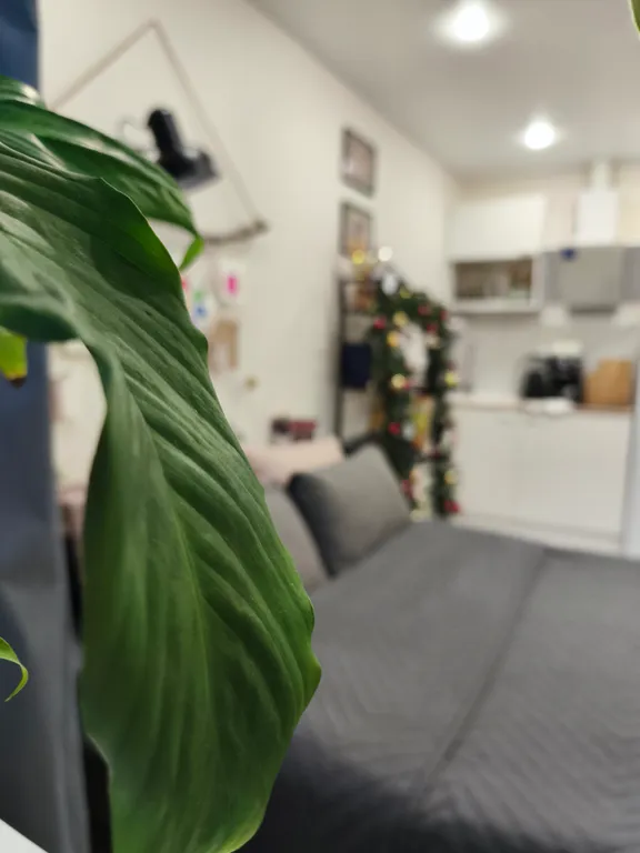 Квартира Квартира "Медвежий уголок" в сердце Ярославля — Ярославль