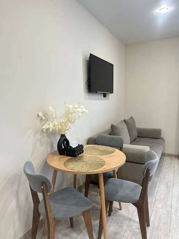 Уютная студия в центре, с видом на реку