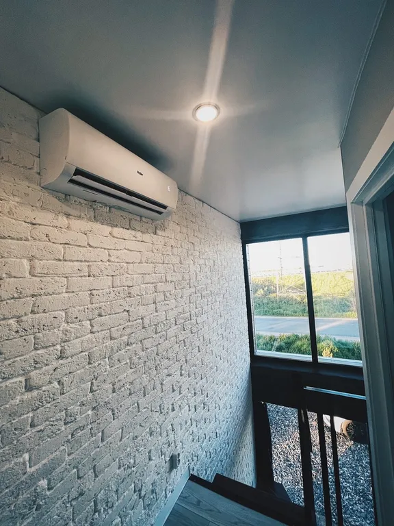 Белый кролик 1