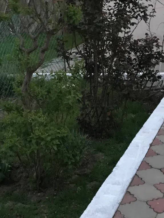 Уютный дом, 10 минут ходьбы до моря