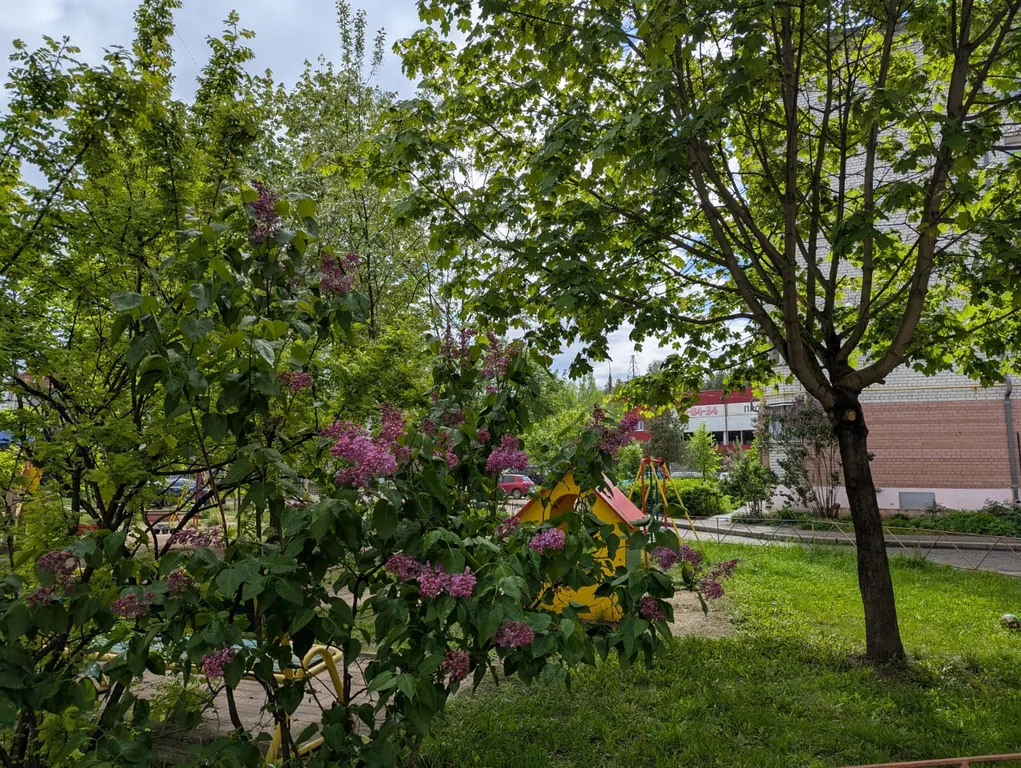 Квартира Квартира Лучшее времяпровождение в нашей чистой, комфортной, уютной квартире — Ярославль