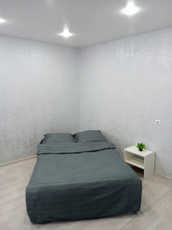 Уютная квартира в центре города с лесной зоной для прогулки