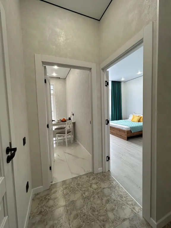 1-комнатная квартира возле Посольства США и Дворца Мира и Согласия