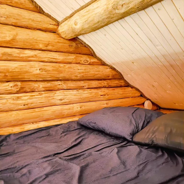 Дом Добрый 1 на берегу Онего