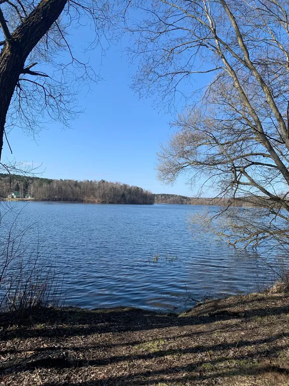 Деревянный коттедж из рубленого соснового бревна