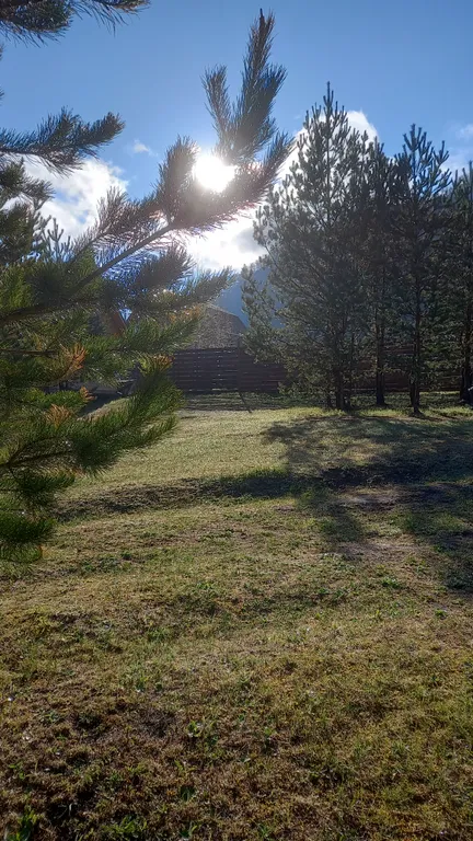 Кедровый коттедж в живописном месте Чемала