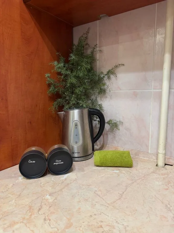 Трехкомнатая квартира со всеми удобствами