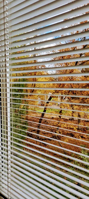 Близкая квартира к Буртасам Кардиоцентру