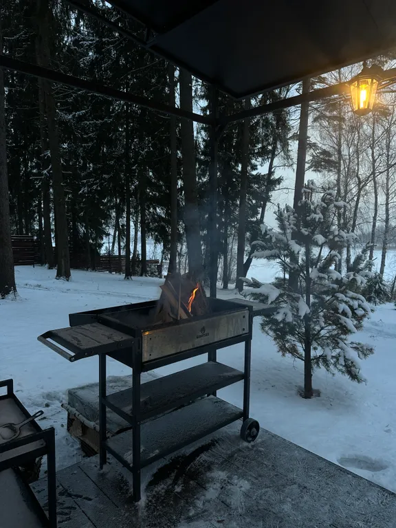 Дом на семью или компанию в лесу у большой воды