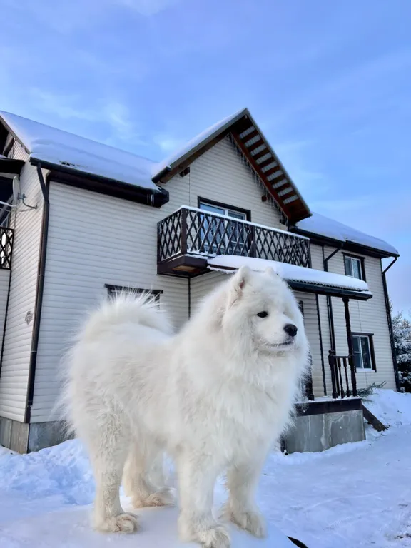Коттедж Дом рядом с вотчиной деда мороза — аренда посуточно в Великий Устюг