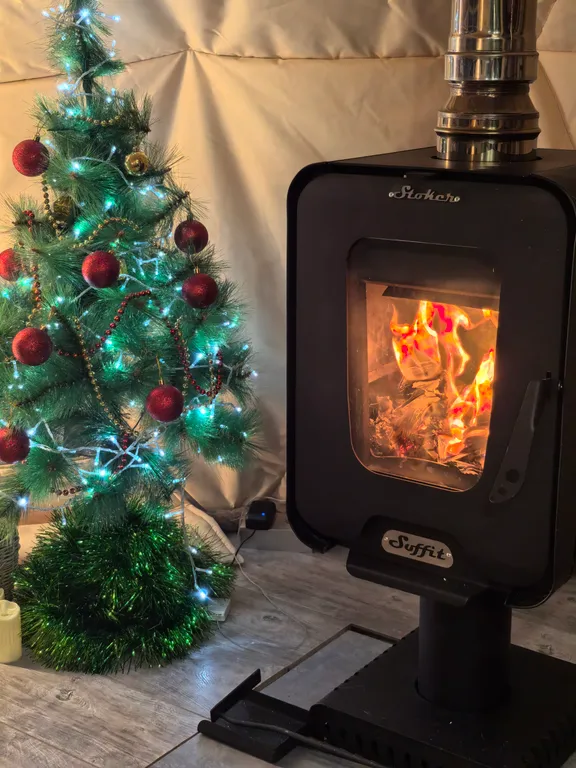 Купол в лесу