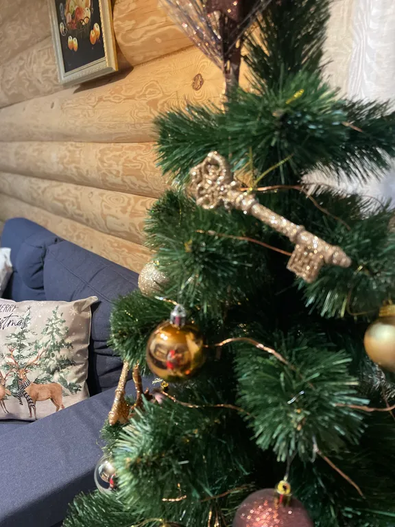 Дом из бревна