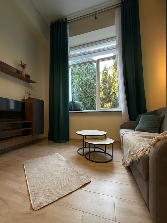 Квартира-студия с кипарисами за окном