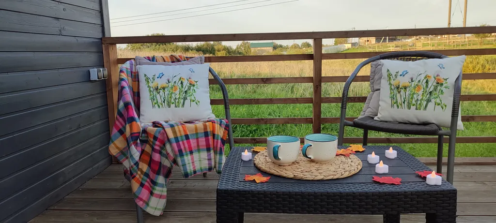 Коттедж Домик около Красного села с видом на поле и лошадок — Санкт-Петербург