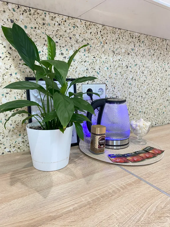 Вместительная студия в новом ЖК