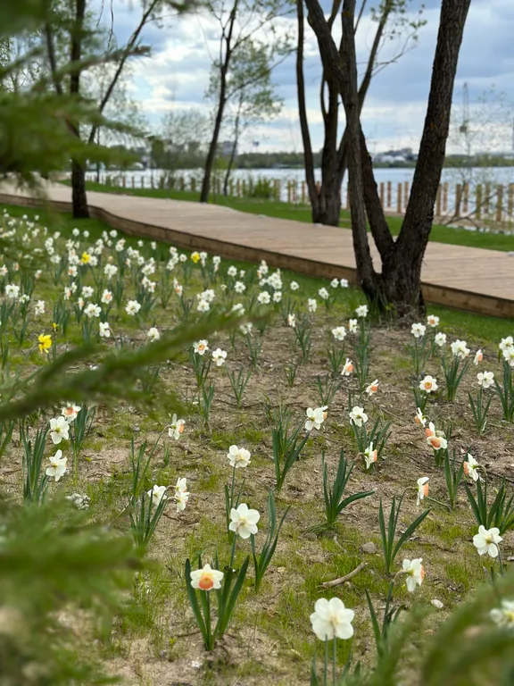 Квартира Апартаменты у Крокус Экспо — Раздоры