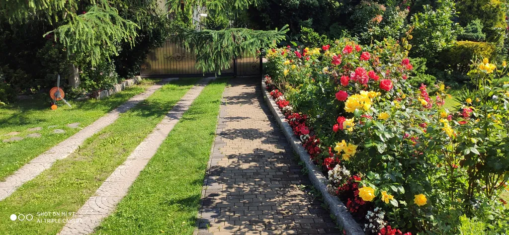 Студия в тихом уголке