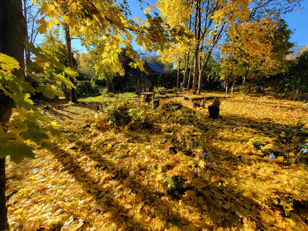Коттедж Коттедж под сенью лесных деревьев — Москва